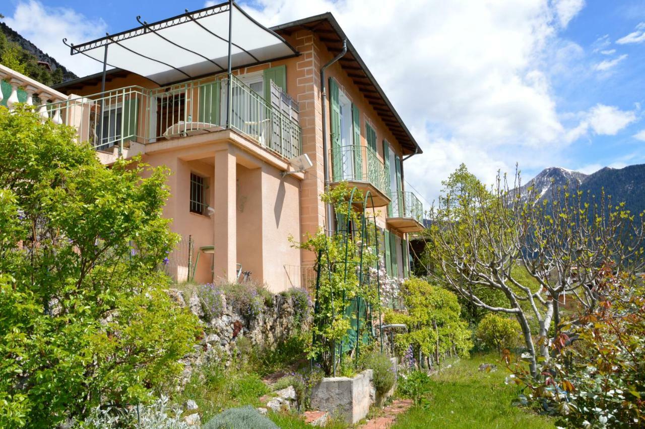 Villa Rosemarie Valdeblore Esterno foto