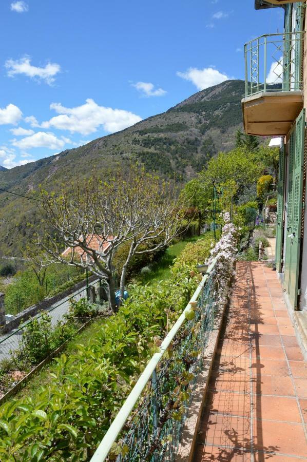 Villa Rosemarie Valdeblore Esterno foto